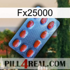 Fx25000 06